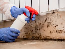 Best Water Damage & Mold Remediation  in Gloucester, MA